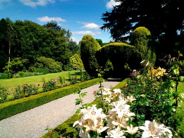 things to do in carlow ireland altamont gardens